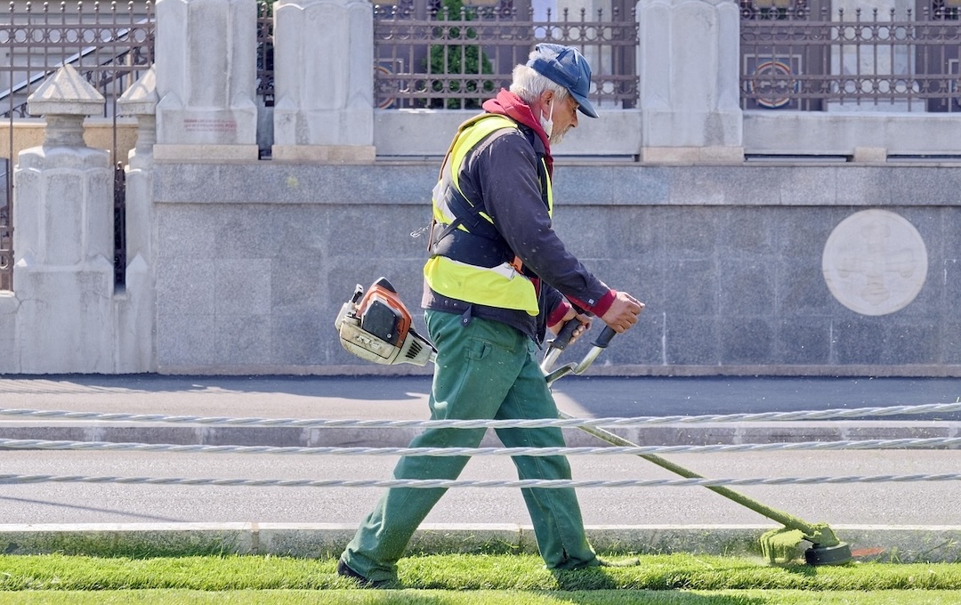 Steden & Gemeenten