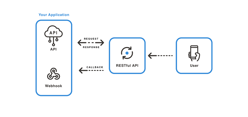 Export & API